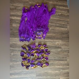 Frederick’s of Hollywood Purple and Gold Belly Dance Veil and Coin Hip Scarf Set